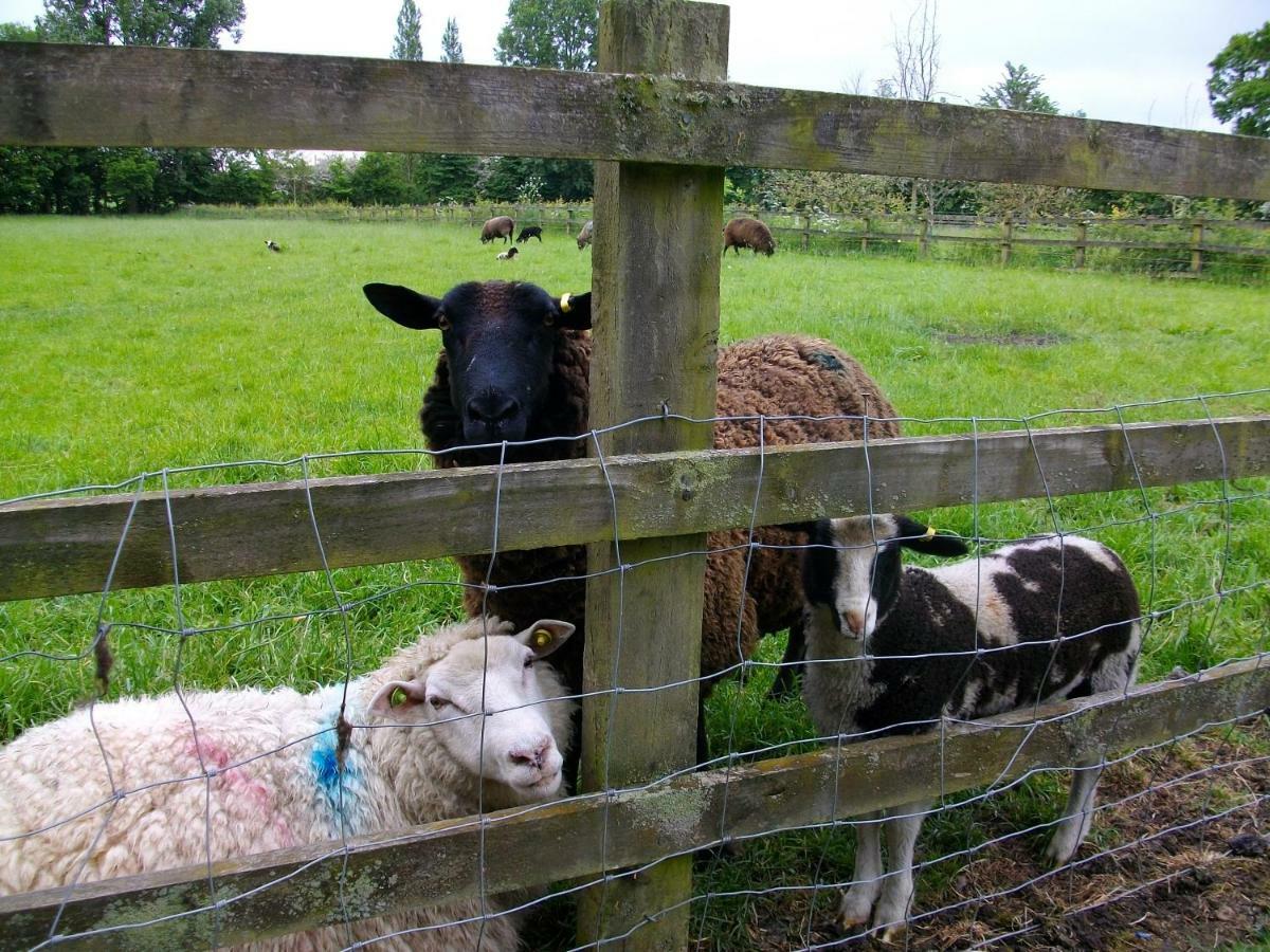 The Old Cowstall Somerton  Luaran gambar