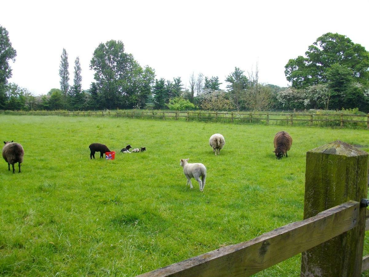 The Old Cowstall Somerton  Luaran gambar